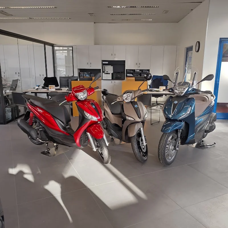 Sighel Bruno & Figlio Srl