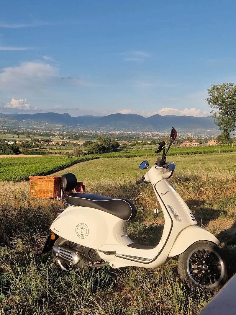 Bella Vespa