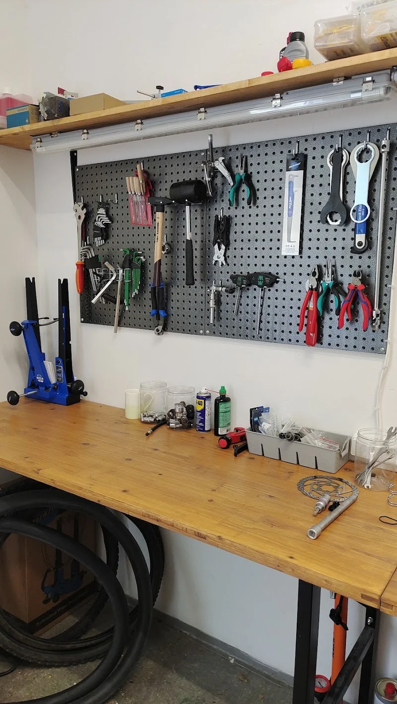 Fast Bike- BICYCLE & E-SCOOTER SERVICE