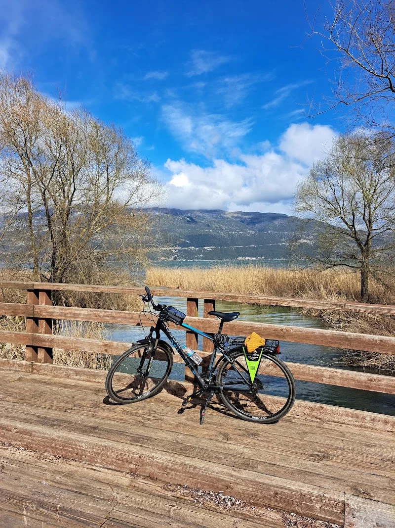 Greenmove Rent a Bike